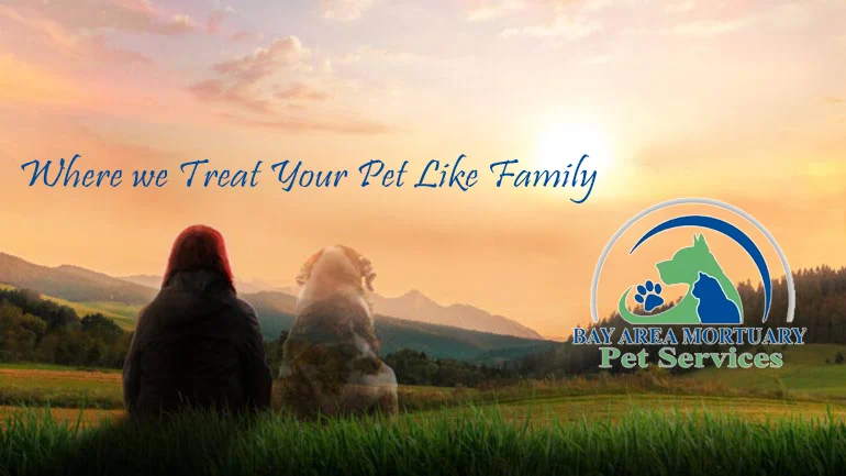 Bay Area Mortuary Pet Cremation
