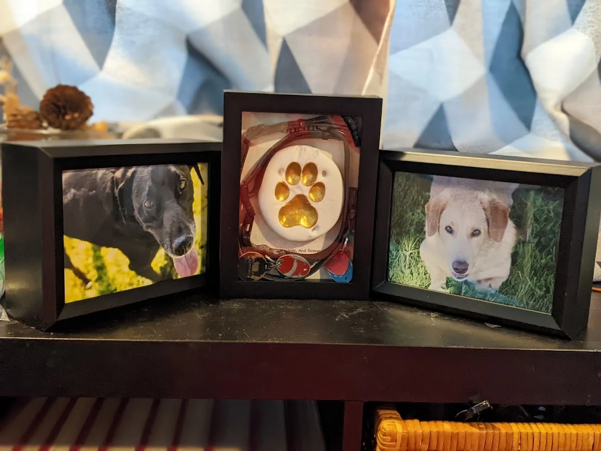Eternity Pet Memorial