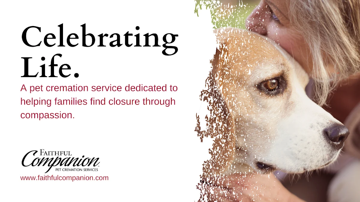 Faithful Companion - 3