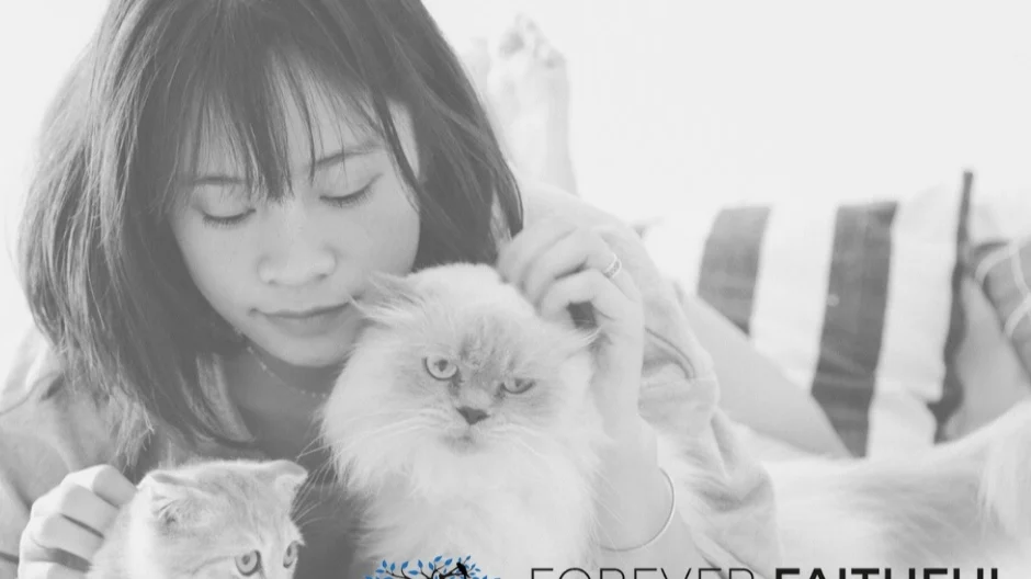 Forever Faithful Pet Cremation & Funeral Care by Value Choice, LLC