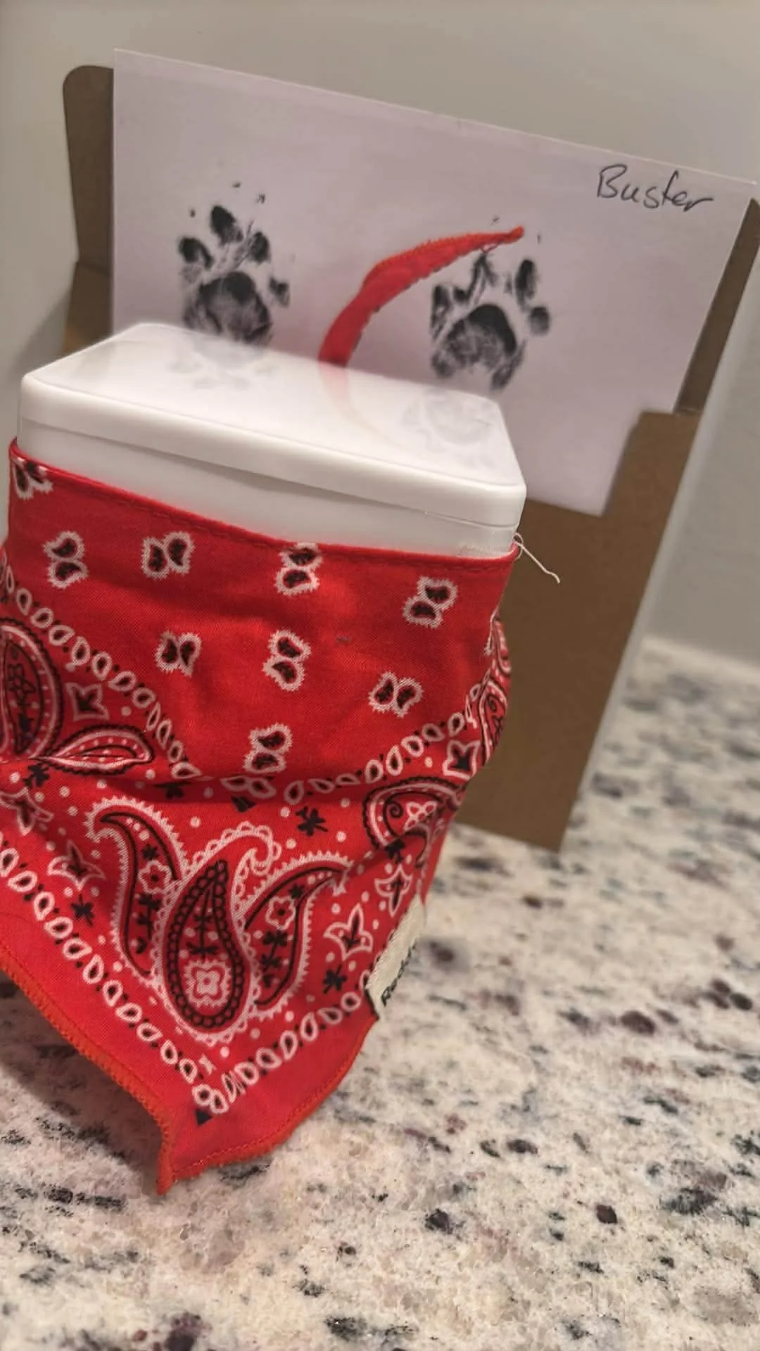 Gamez Pet Cremations