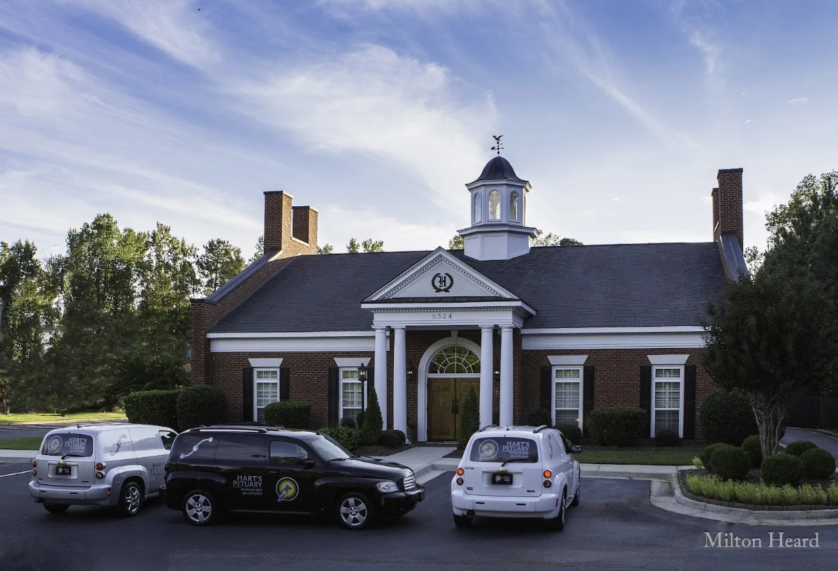 Hart's Petuary