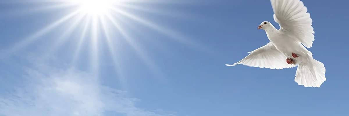 Kenosha Funeral Services & Crematory