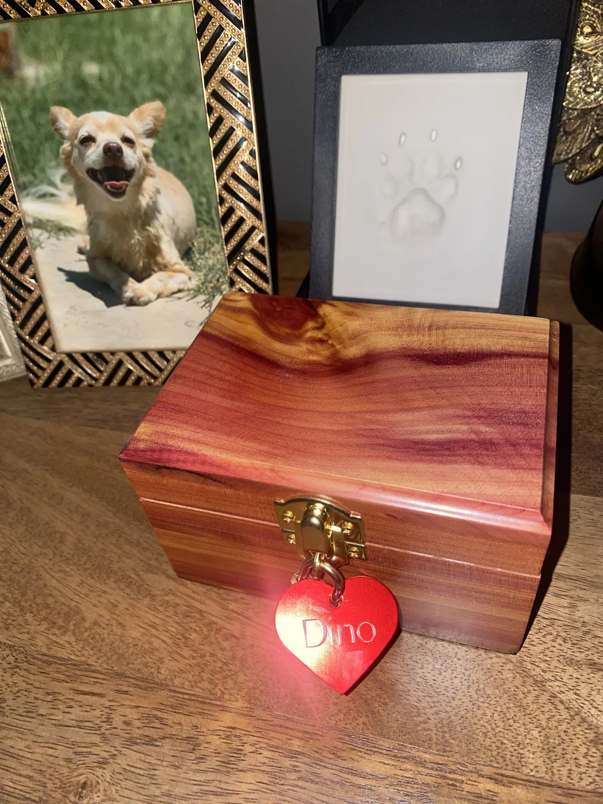 Lasting Paws Memorial Service - Phoenix