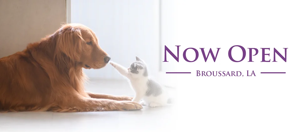 Louisiana Pet Crematory