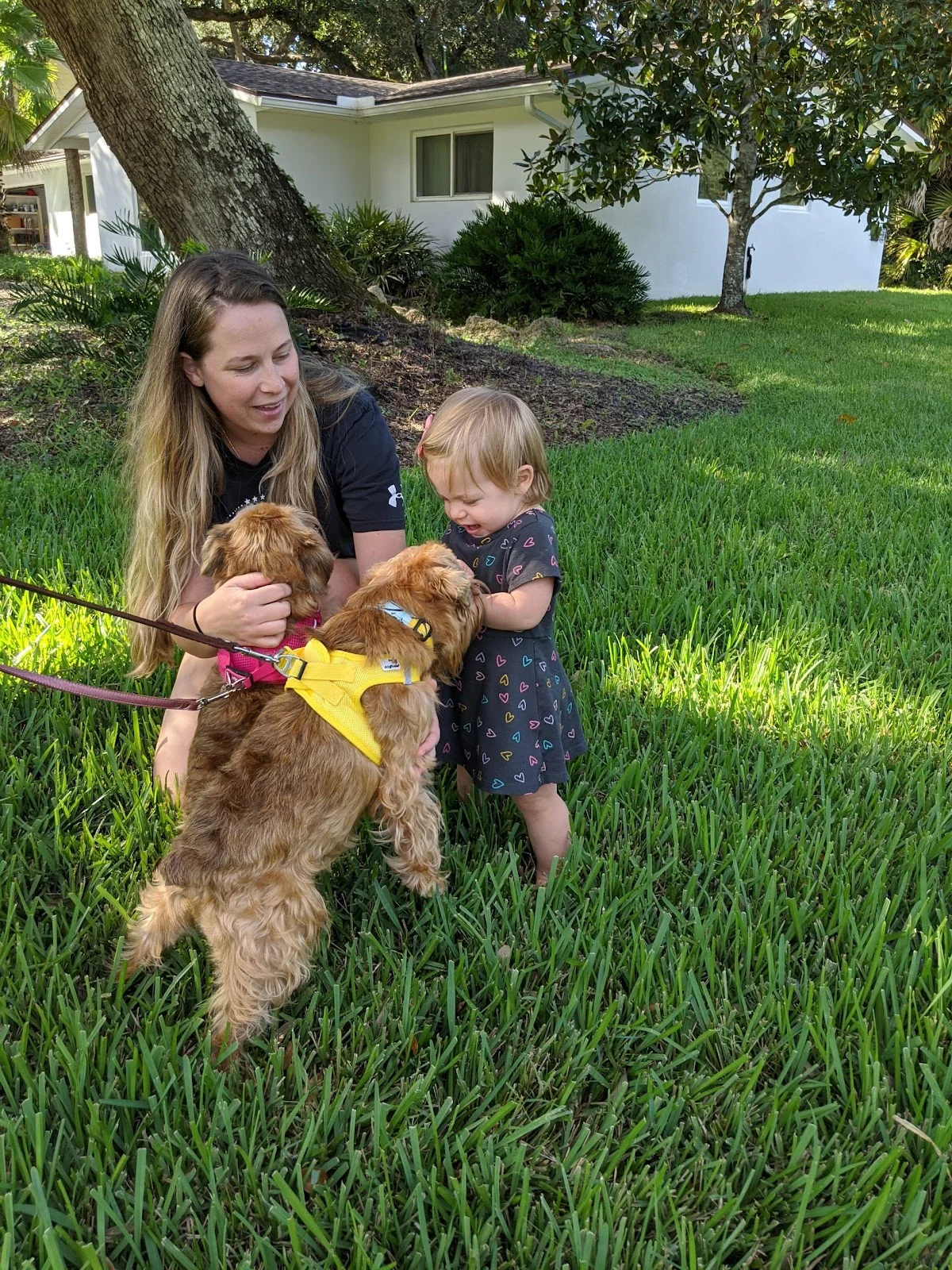 Pet Cremation Services of Columbus