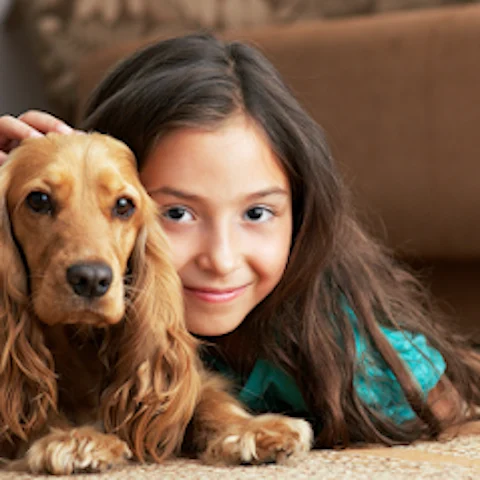 PetsToRemember Pet Cremation Miami